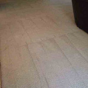 carpet cleaning ladera ranch