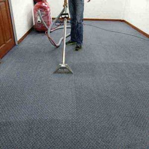 carpet cleaning dove canyon