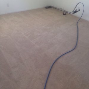 carpet cleaning tustin
