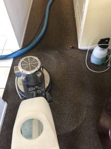 carpet cleaning placentia