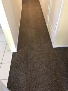 carpet cleaning westminster