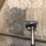 deep carpet cleaning