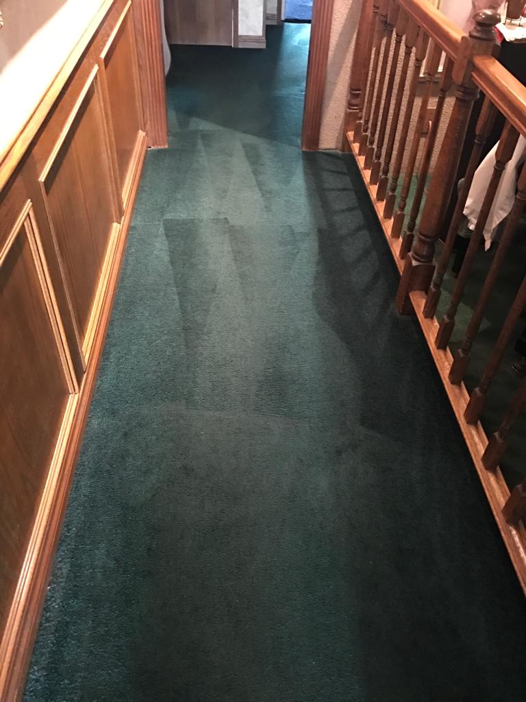Carpet Cleaning Anaheim Company Dr Irvine Service In California