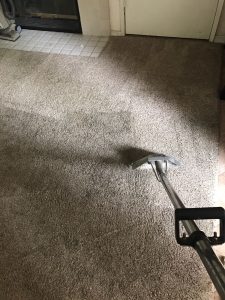 deep carpet cleaning