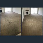 best carpet cleaning service around