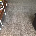 carpet cleanres