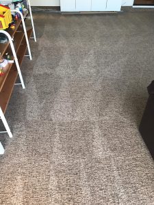 carpet cleanres