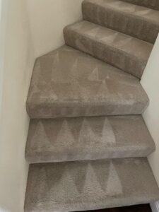 carpet cleaning 1