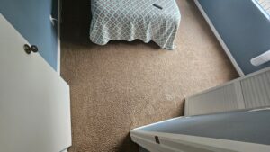 carpet cleaning